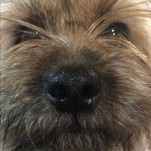 Meet your Posher, Alicia